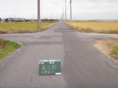 p0000008