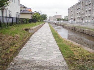 P5300007